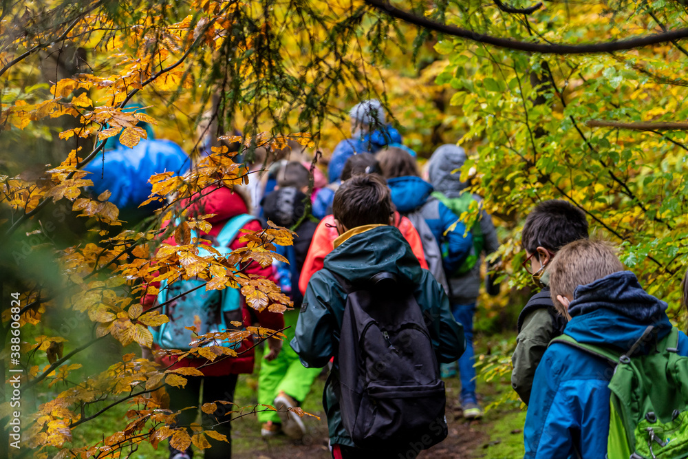 AdobeStock_388606824_Preview